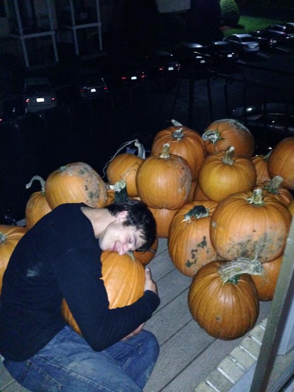 jamaral_96's tweet photo. He's so proud of our harvest #wesneaky #pumpkins http://t.co/rEs2ji7VCW
