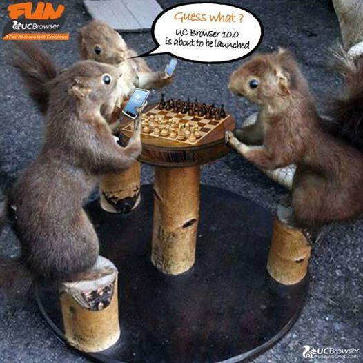 UCBrowserar tweet picture