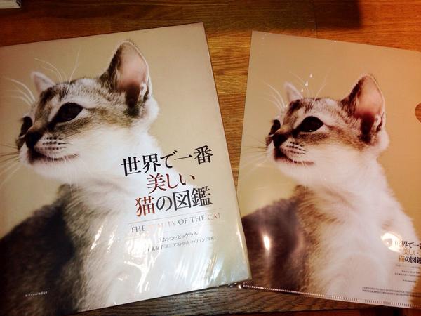 Paper Wallエキュート立川店 書籍案内 エクスナレッジ 世界で一番美しい猫の図鑑 再入荷 猫 たちがとにかく綺麗に写っているかなり大判の本が税込4 104円 ギフトによく選ばれてます 先着で表紙と同じ猫のクリアファイル付き Http T Co M1wrsldxrw