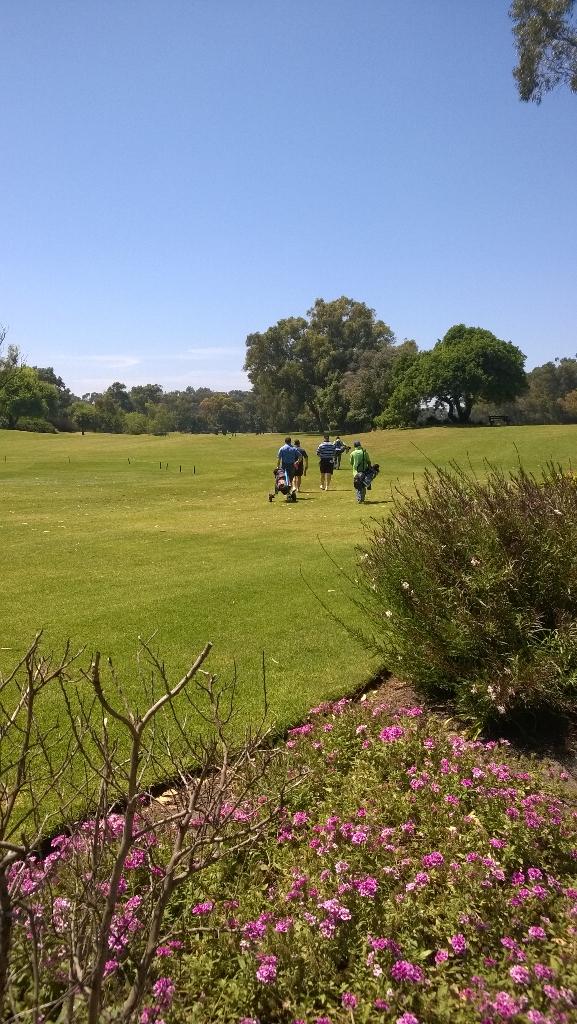 kidsofthecape's tweet photo. @Danine_Harmse02 Could not be more beautiful - even a gentle breeze! http://t.co/pI3KZBloO1