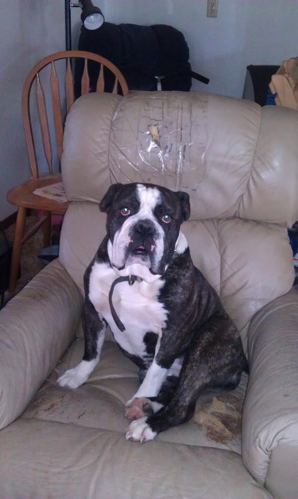 jjocon21's tweet image. @Chelsey_OConnor  #willingtomove