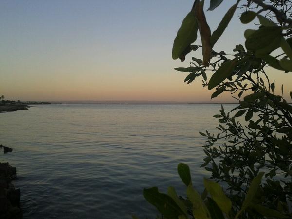 Getting back to normal after Odile. Still plenty off cables down when u walk streets