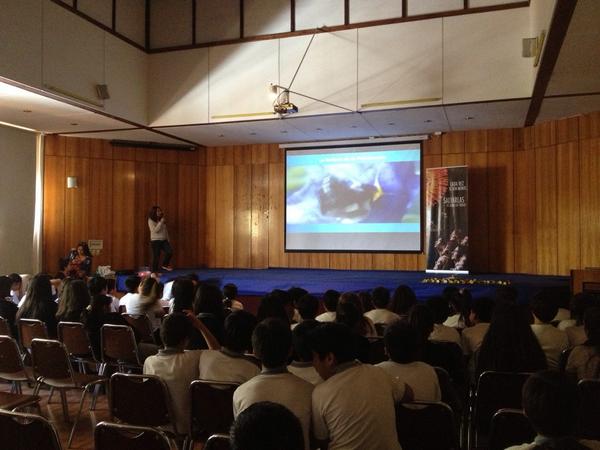 ONG_Plan_Bee's tweet photo. Creando conciencia en la V región! Colegio Champagnat, Villa Alemana... Seguimos avanzando http://t.co/91isOQFTvL
