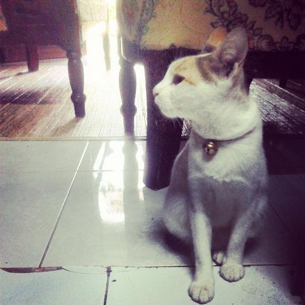 Reza_zz4o7's tweet image. HAha