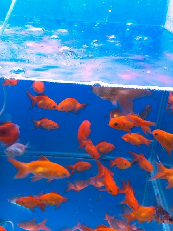 Action1990Eslam's tweet photo. http://t.co/86rTEOEraf