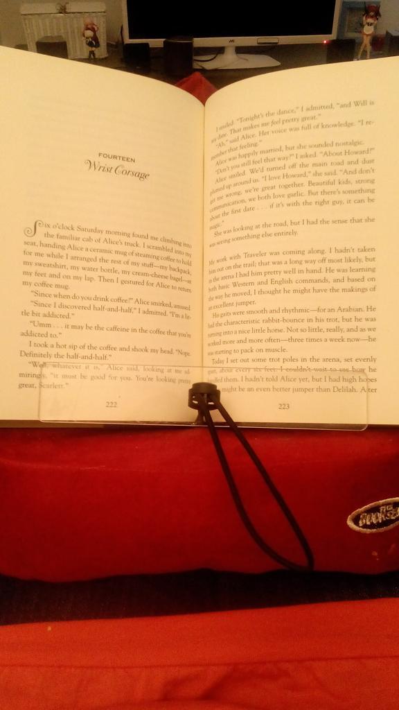 tittareading's tweet image. I love my bookchair! My boyfriend gave it to me couple years ago. #bookchair #sacred