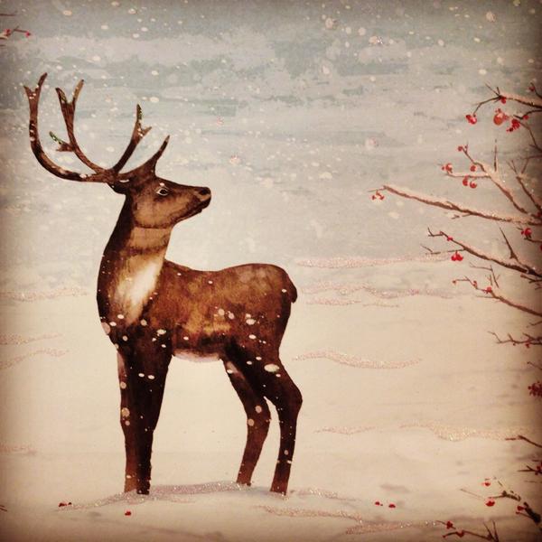 altweet_pet's tweet photo. Ground floor John Lewis Newcastle is now like stepping into Xmas. There's also gift ideas on every floor. #65days2go http://t.co/pP2iScLfAy