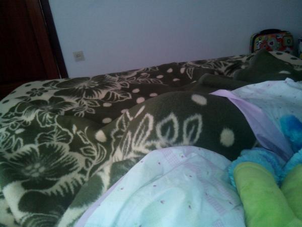 NereaaGM's tweet photo. @Sueap93 ¿como en la que duermo yo todos los días? http://t.co/nQqCatcxsu