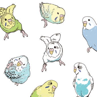 インコイラストのtwitterイラスト検索結果 古い順 インコイラストのtwitterイラスト検索結果 古い順