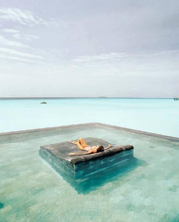 Maisondelux tweet picture