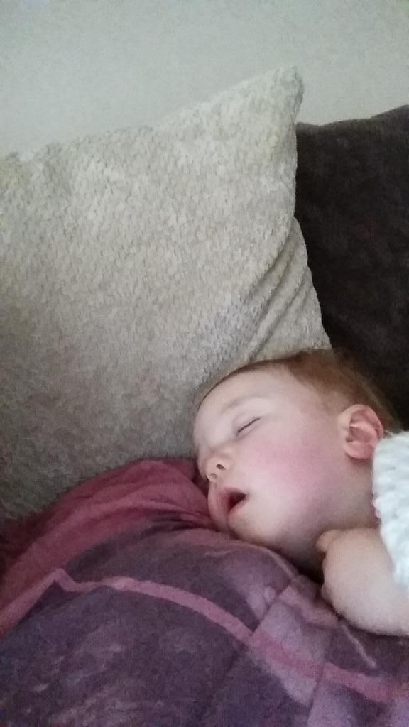 davemoran85's tweet image. Sleeps just like her mummy..

#WeekWithJess #FlyCatching #JessUpdate