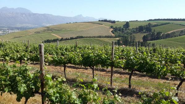 Marco Ventrella tweet media