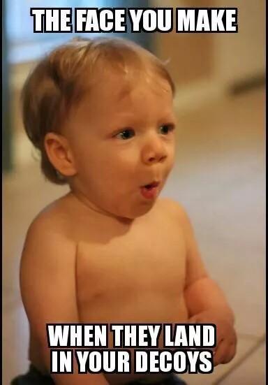 FallinFowl's tweet image. 