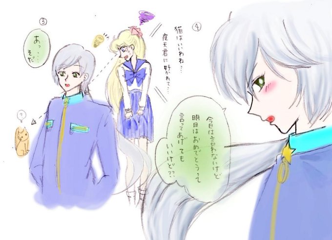 愛野美奈子のtwitterイラスト検索結果 古い順