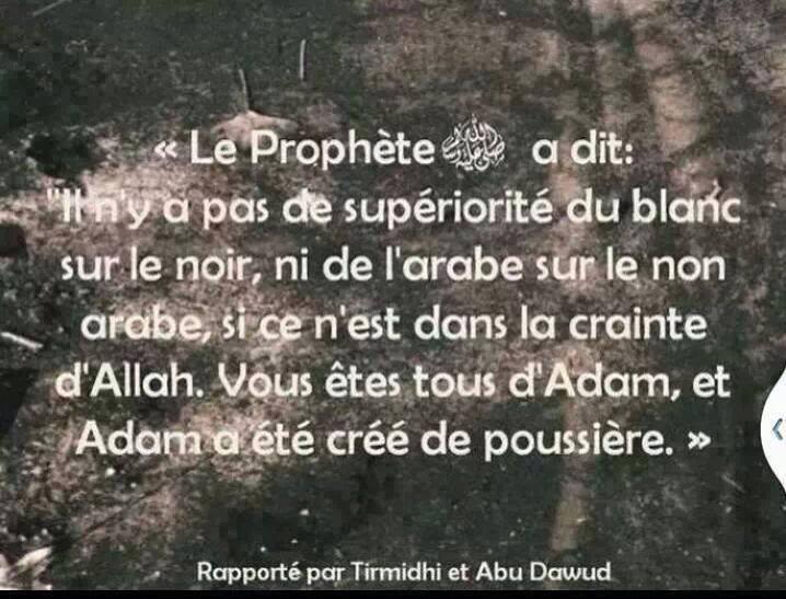 تويتر Houchati Smail على تويتر Une Magnifique Citation Du Prophete Muhammad Swas Qui Montre Combien L Islam Est Une Religion Universelle Http T Co Eekpv5kkjd