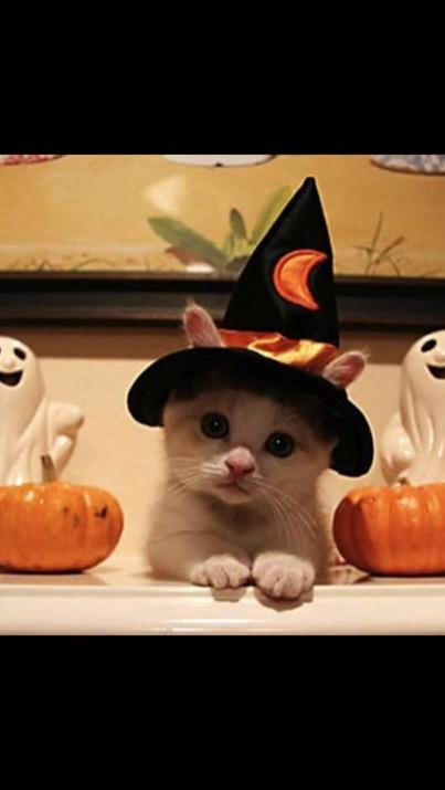 kgoquinn's tweet photo. Best time of the year #Autumlove http://t.co/l0FS2U9fY5