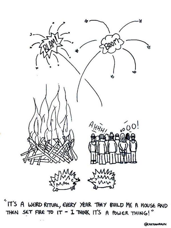 CartoonRalph's tweet photo. Make sure you think about hedgehogs when you make your bonfire #GuyFawkes #BonfireNight http://t.co/6JBoZu0Dwd