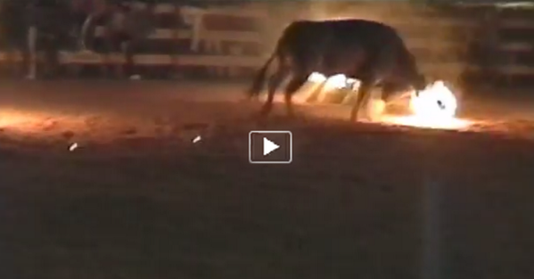 PLS HELP!
 
Festival to SET BULLS ON FIRE, to burn in agony for HOURS!

RT! peta.vg/helpbulls