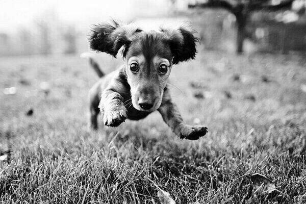 FraseSinFiltro's tweet photo. "Qué bonito es ver que alguien se siente feliz al verte." http://t.co/U04WWKcbLx