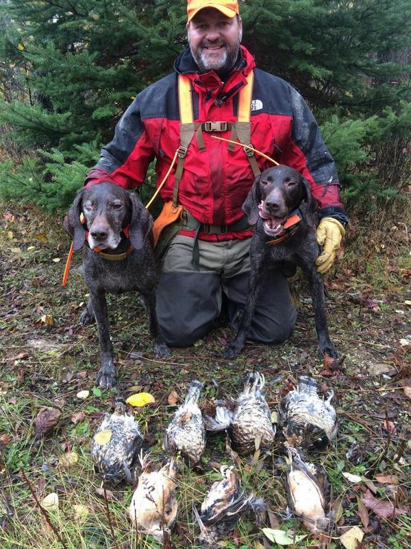 LingerBrian's tweet image. Ruffed grouse. Its what's for dinner..