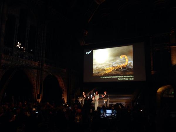 NHM_WPY's tweet photo. Here's the moment that Carlos Perez Naval and Nick Nichols collected the awards for their #WPY2014 Grand Titles http://t.co/mrtQD8hSGU