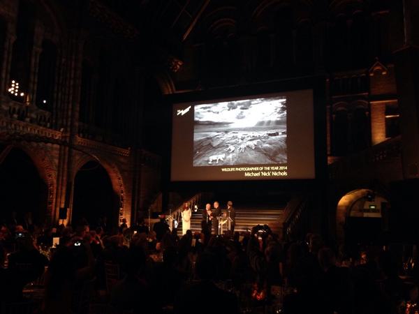 NHM_WPY's tweet photo. Here's the moment that Carlos Perez Naval and Nick Nichols collected the awards for their #WPY2014 Grand Titles http://t.co/mrtQD8hSGU