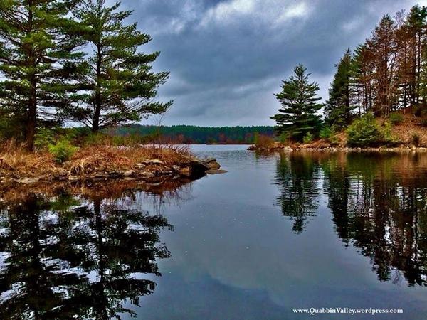 NorthQuabbinite's tweet photo. TQV's Pic of the Week. http://t.co/rrOoALSiYJ to learn more about #Gate37 in #QuabbinReservoir #QuabbinValley http://t.co/y26qdGhHqC