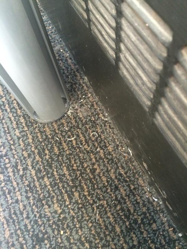 taywiper's tweet photo. hundred percent don't cut your nails in the lib #no #smuprobs http://t.co/JNPyz5AAyt
