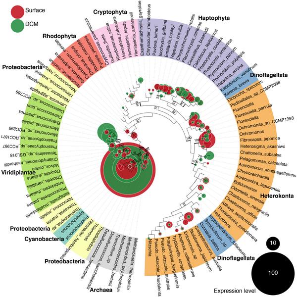 AhmedMoustafa's tweet photo. Our paper http://t.co/YpmtxdTPUw w/ @JCVenterInst and @JCVenter in @ISMEJournal #marine #microbial #metagenomics #OA http://t.co/Ei4gjOwpW4