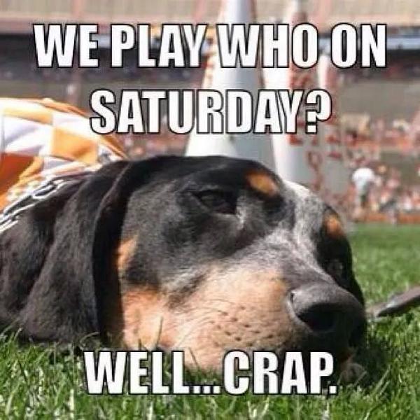 Image result for tennessee hate week meme