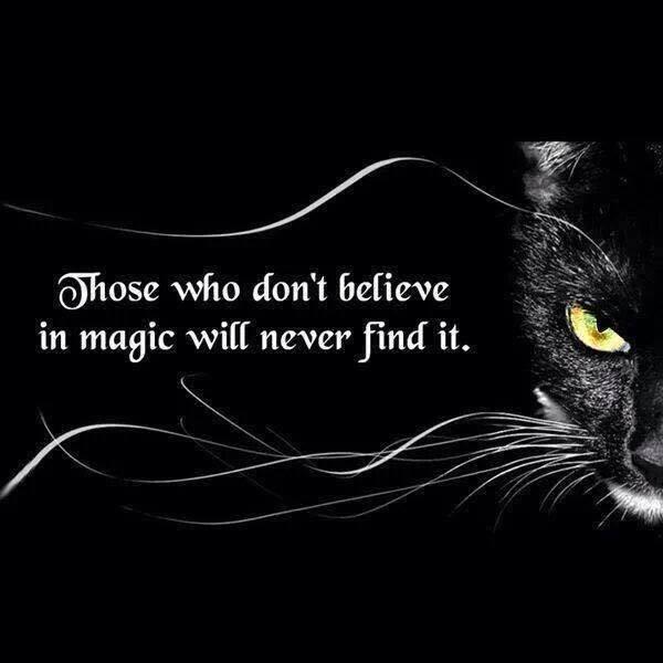 wprbbb's tweet photo. #magic http://t.co/dLJkdtzxSP