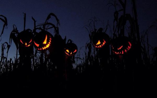 HalloweenCount's tweet photo. It's almost time.. http://t.co/u6KVRg8Yxu