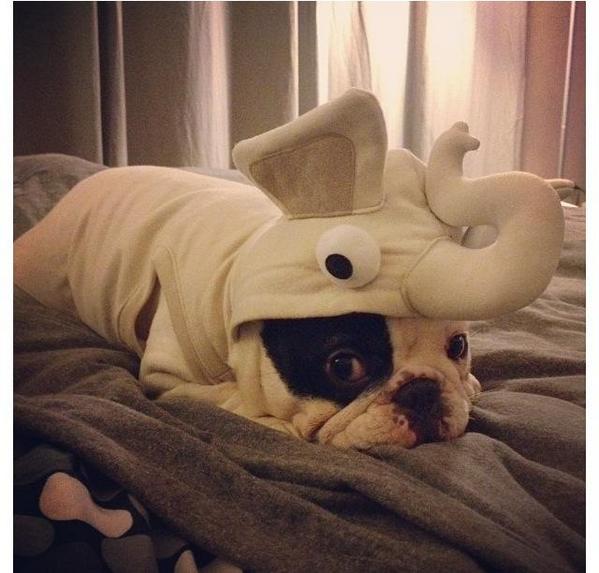 AnaNCorbalan's tweet photo. LO QUIERO YAAAAA!😍😍😍😍😍 http://t.co/VOROXzCxLS