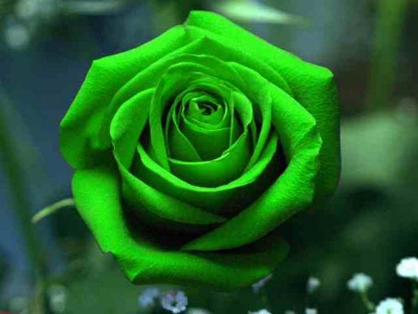 MeganMegwar78's tweet photo. http://t.co/zvU6yi3yDw