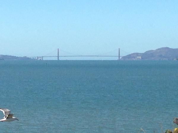 Unquestionably the best parking-lot view in racing. #goldengatefields