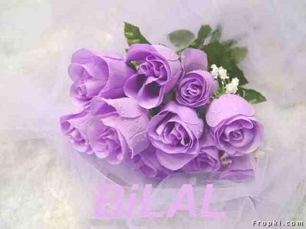 MeganMegwar78's tweet photo. http://t.co/aizxsRRg8m