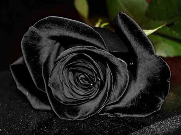 MeganMegwar78's tweet photo. http://t.co/aizxsRRg8m