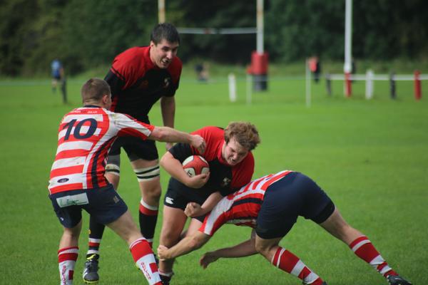 PJWhyley's tweet image. @Doug_Smiley @connorwhyley #rugby stars