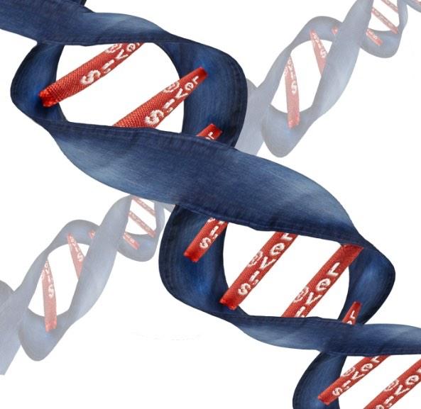 NUCLEUSapbio2's tweet photo. Auntie Mo: "those are good genes"
Me: "thx they're Levi's" http://t.co/YhnVB4Dbyv
