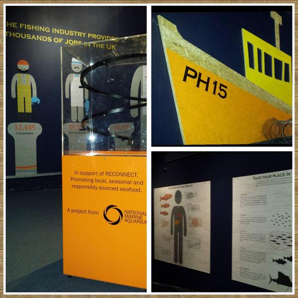 FudgeGecko's tweet photo. First phase of @Reconnect_NMA exhibit in @NMAPlymouth ready for 1/2 term! @britainsocean @PlymBarbican @ExperienceSH http://t.co/pDv7FwlDPx