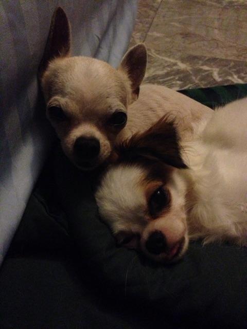 bo_ho's tweet photo. Good night, sleep tight :) http://t.co/F4YhxiRtBU