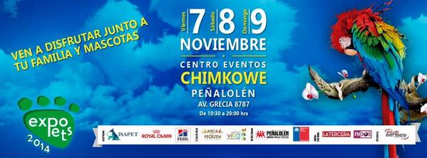 LittlePetsHome's tweet photo. Preparándonos! Los esperamos allá junto al Arca del Pequen. No faltes! http://t.co/EGc7walC74