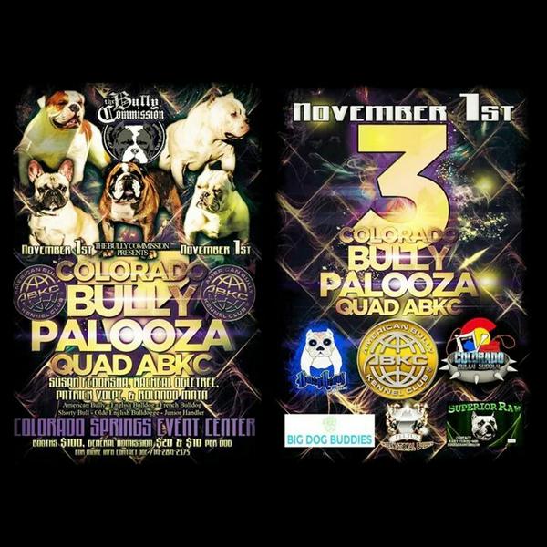 BULLYHEADS's tweet photo. NOVEMBER 1ST COLORADO BULLY PALOOZA 3 QUAD ABKC JOIN US IN COLORADO SPRINGS CO #ABKC #AMERICANBULLY #COLORADO http://t.co/98Eiw1Wiz9