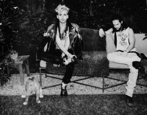 The Kaulitz Twins Picture Together - Page 9 B0fwYEsIEAAgNDm