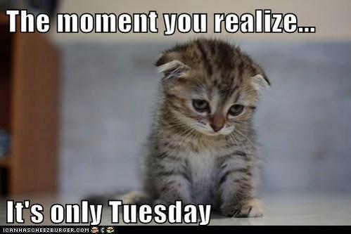 You know what your Tuesday needs? A little Brown Bag Wine! Check out every episode here: bit.ly/1vJ7oAa