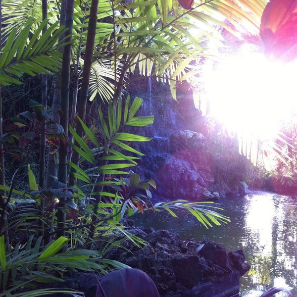 RayannJules's tweet photo. Who says paradise doesn't exist on earth #shutupyouliar @Tobago @pigeonpointheritagepark prouder to be a trini http://t.co/eCSO3LrIny