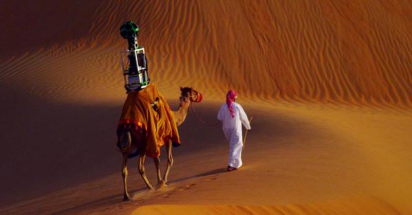 This is a Google Streetview Camel (Yes, it's real)