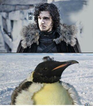 Masclarowater's tweet photo. Otra cosa no, pero sigue cobrando fuerza el posible sustituto de Jon Nieve para la 5 de Game of Thrones. http://t.co/l6rd84tazv