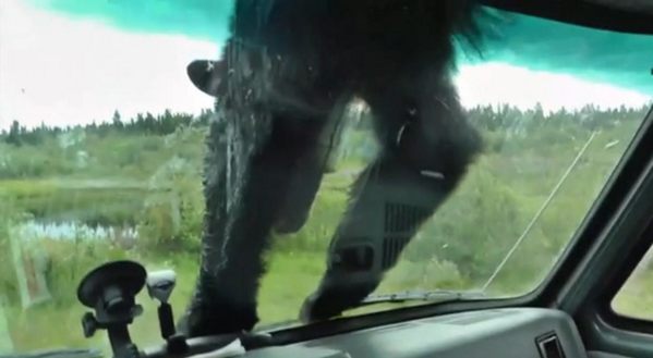 Embedded image permalink