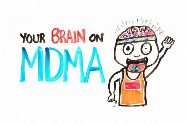 GrowLandiaOFI's tweet photo. Esto es lo que el MDMA le hace a tu cerebro (VÍDEO) - http://t.co/k5pL5kHGYh http://t.co/gr1AuveM33